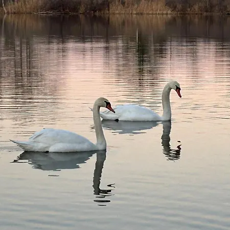 בית נופש Maison Provencale Proche Du