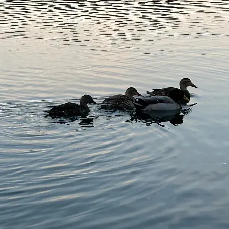 בית נופש Maison Provencale Proche Du *