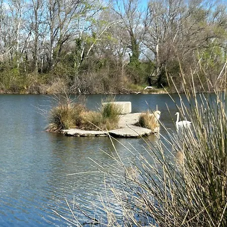 Maison Provencale Proche Du *